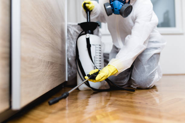 Best Flea Control Services  in Edmore, MI