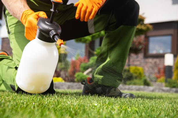 Professional Pest Control in Edmore, MI