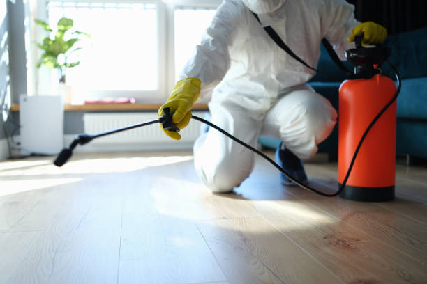 Best Insect Control  in Edmore, MI