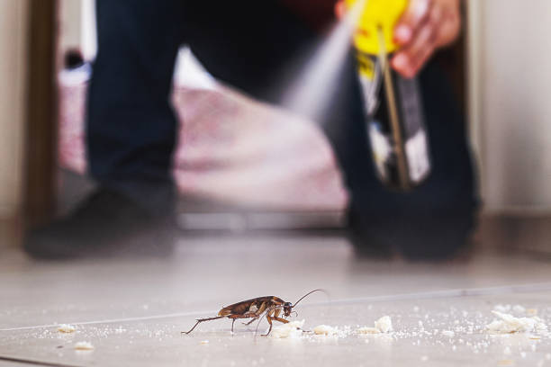 Edmore, MI Pest Control Company