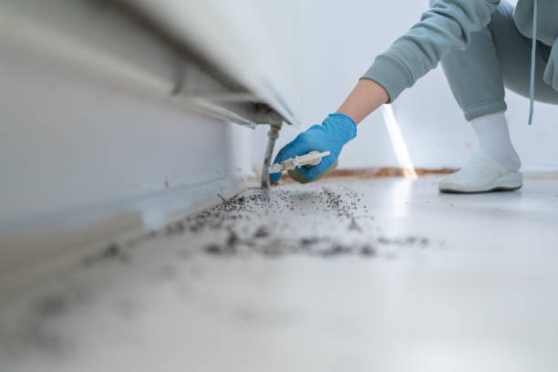 Best Affordable Pest Control Services  in Edmore, MI