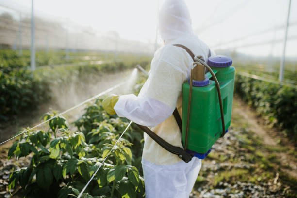 Best Residential Pest Control  in Edmore, MI
